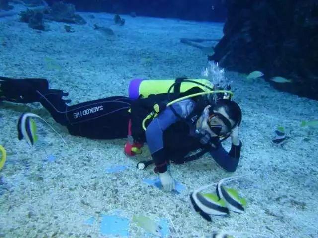 中国象棋速测吧