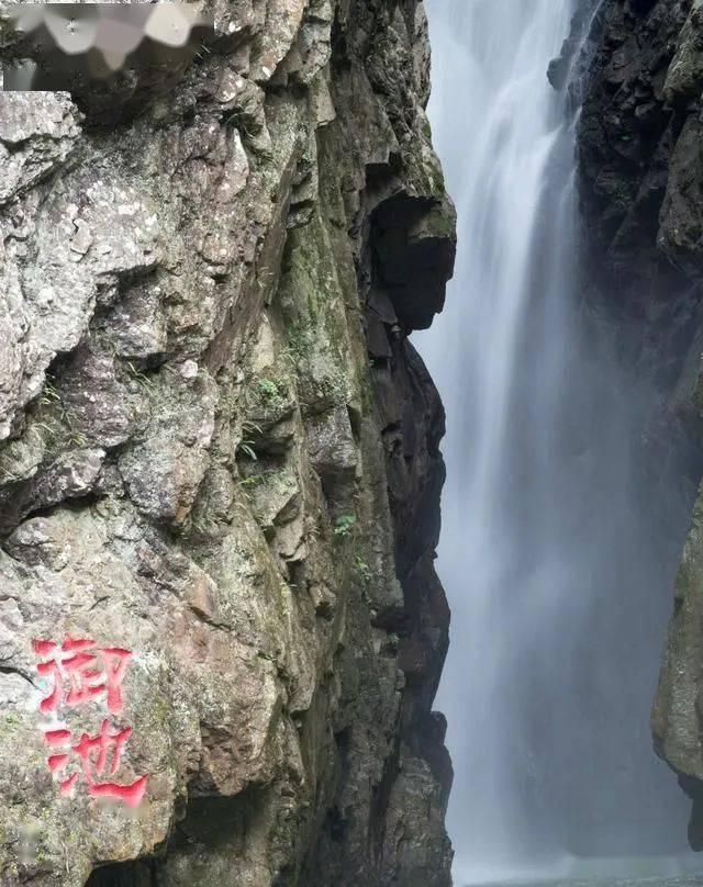 张颂文请粉丝不要送机