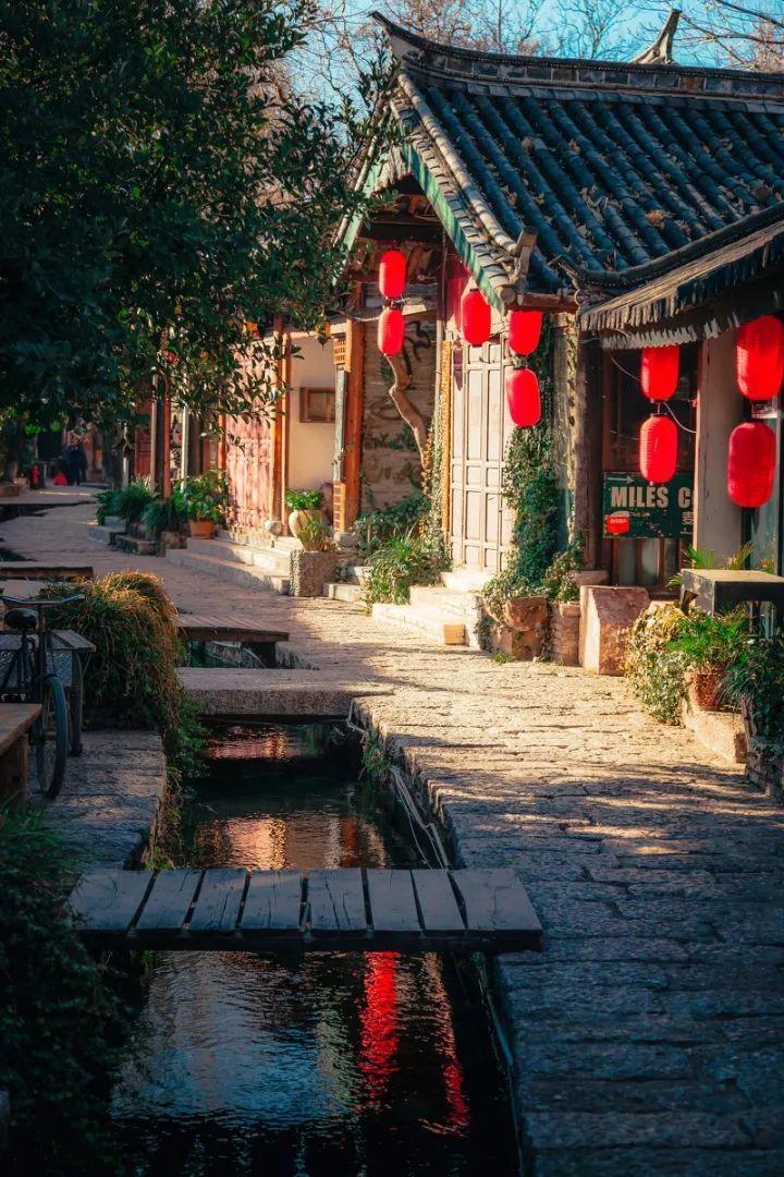 救援鹦鹉